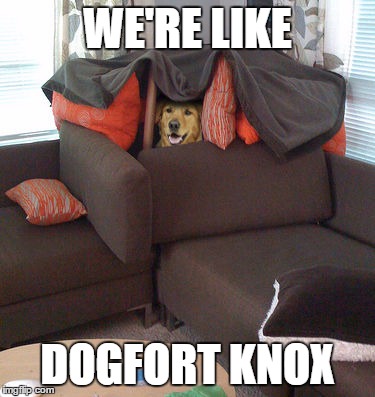 We’re like dogfort knox